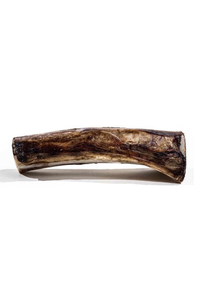 Bison Marrow Bone (6-8”)
