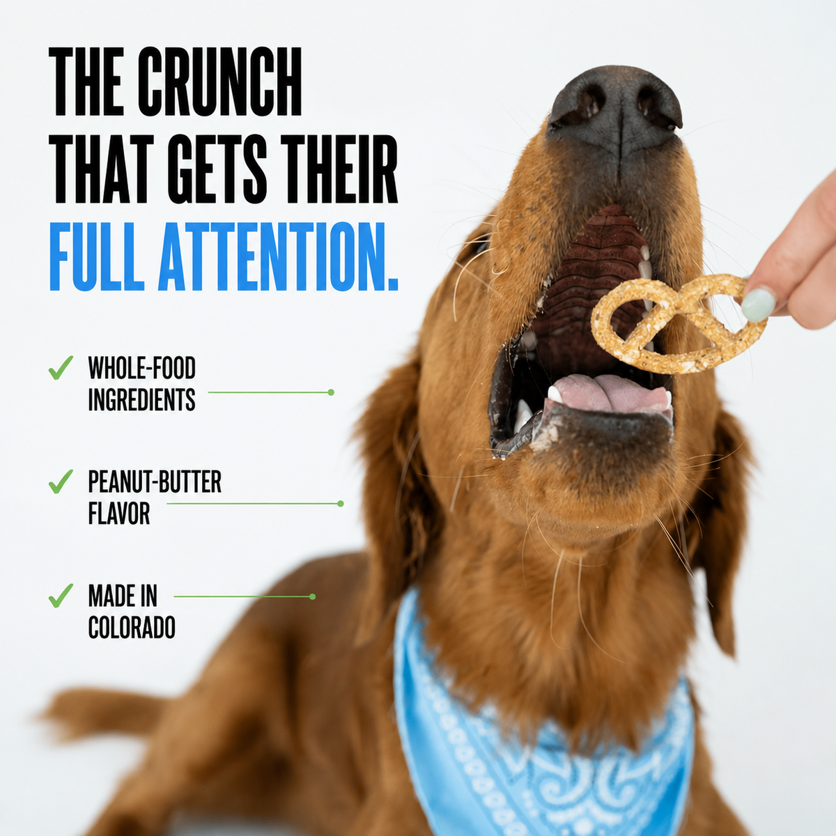 Peanut Butter Pretzels