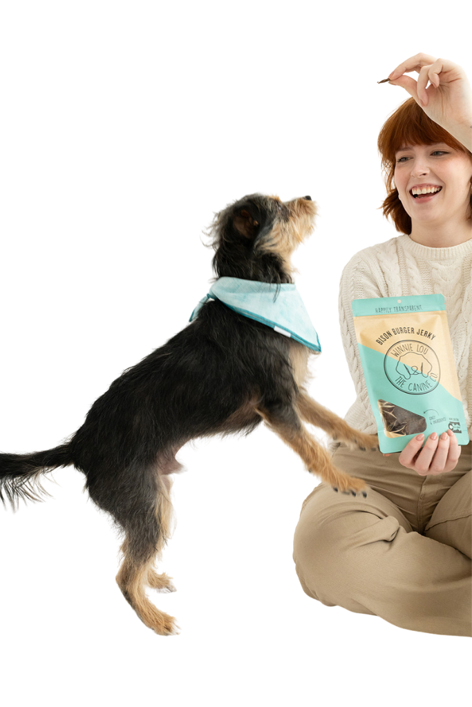 Hot Dog Summer Bundle - Winnie Lou - The Canine Company
