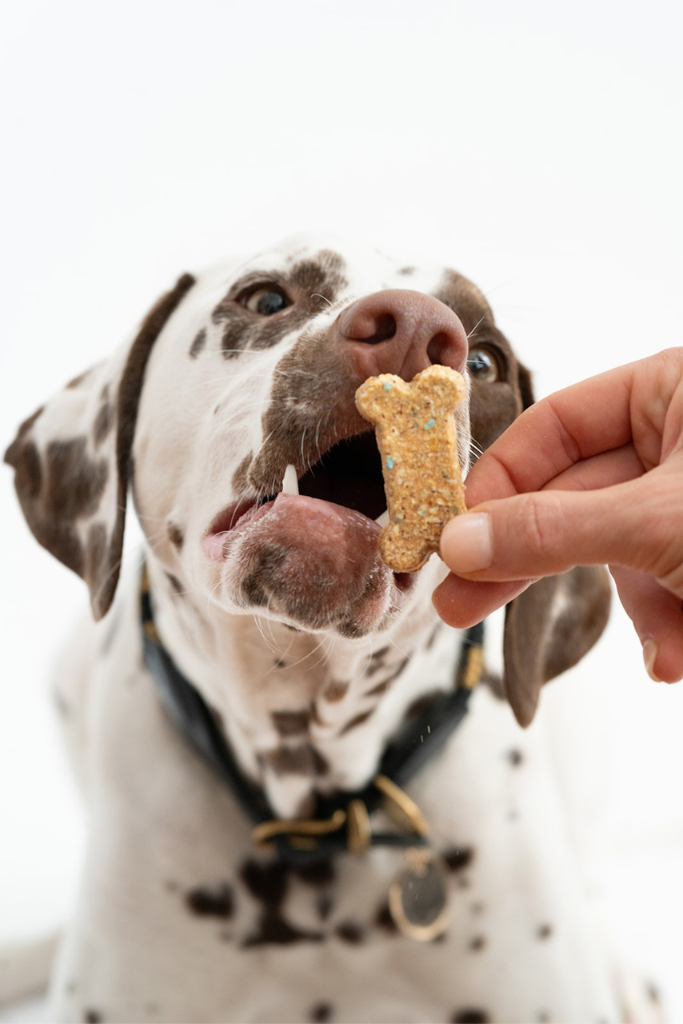 Celebration Cookies