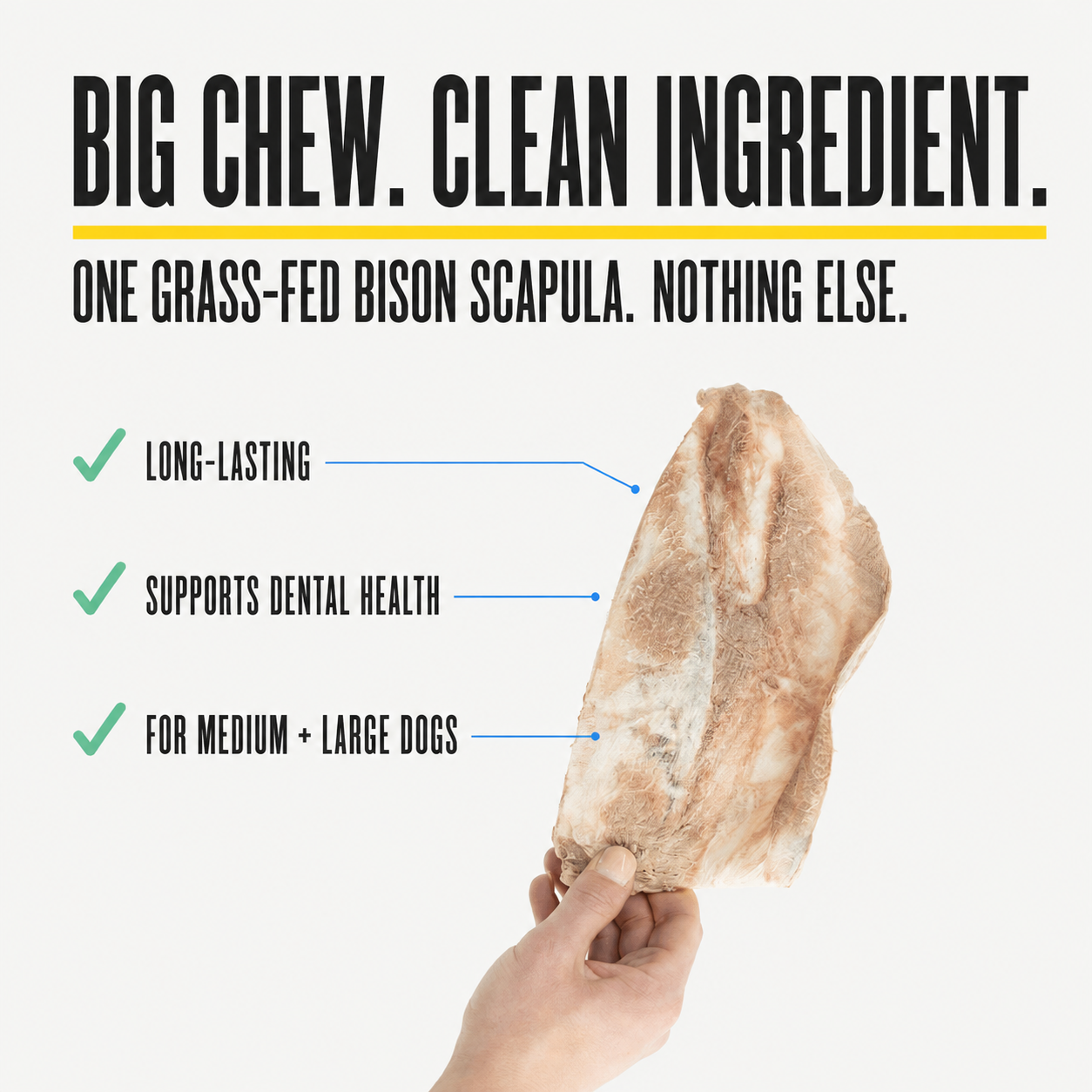 Bison Scapula Chews