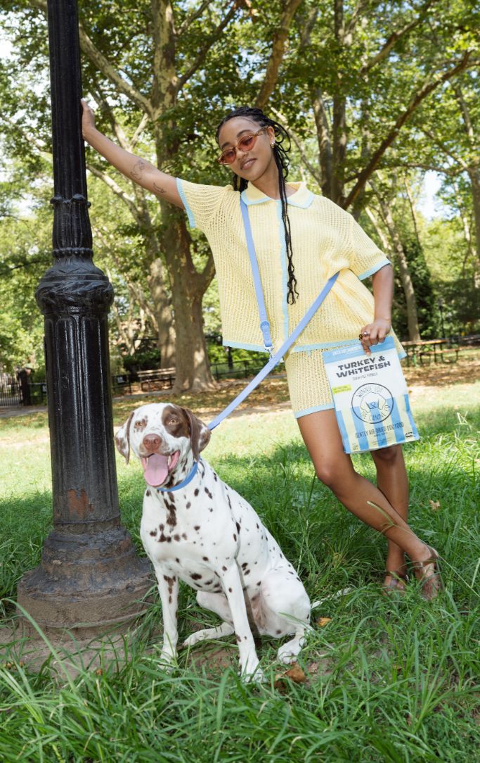 Owner walking her Dalmatian in the park