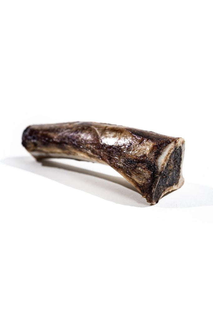 Bison Marrow Bone (6-8”)