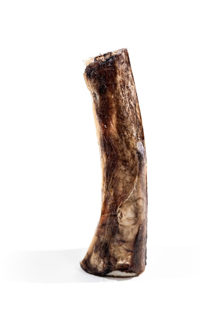 Bison Marrow Bone (6-8”)