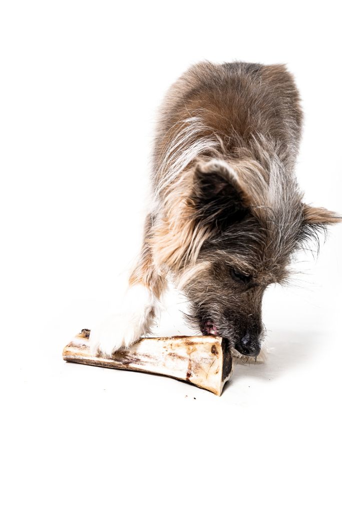 Bison Marrow Bones (6-8") - Case of 12