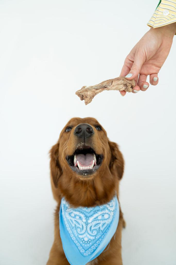 Bison Tendon Chews