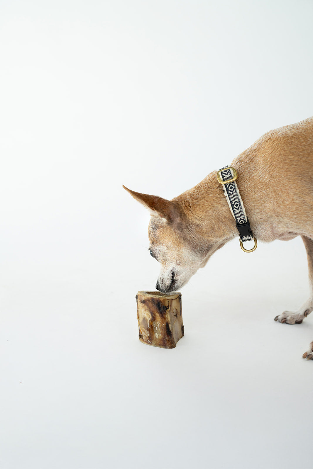 Bison Marrow Bones - 3-pack Bundle