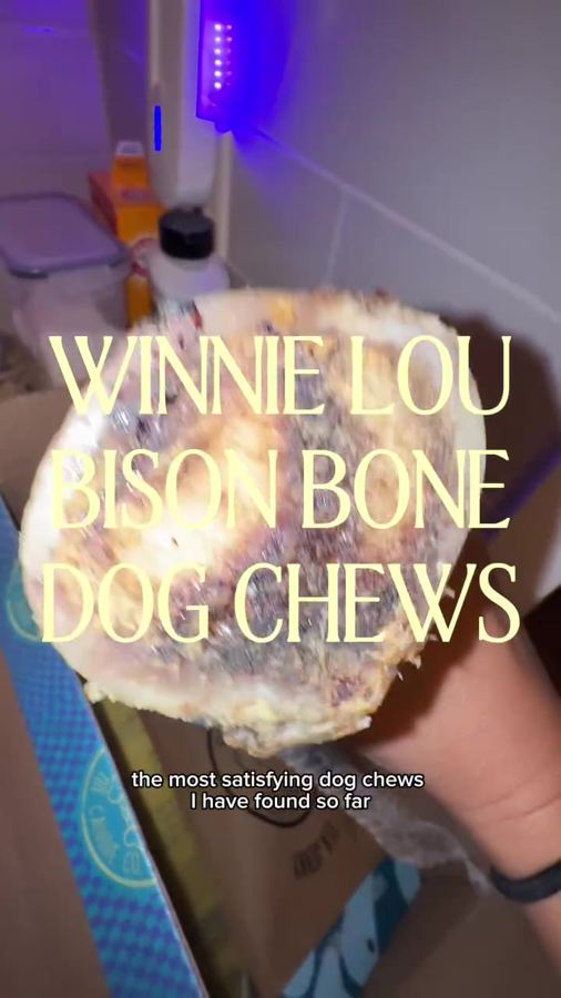 Close-up of the marrow inside a bison bone